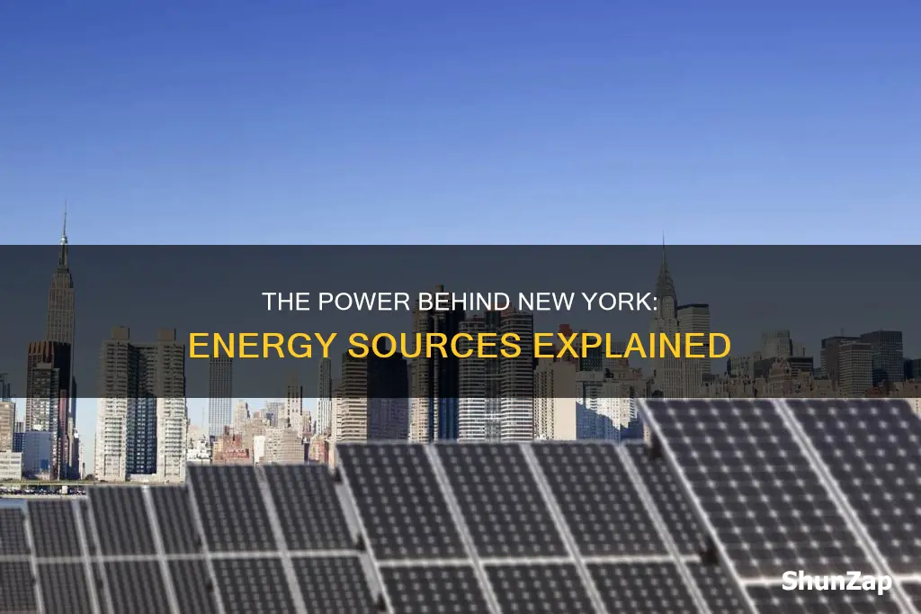 where does new york electricity come from