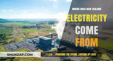New Zealand's Electricity Sources: An Overview