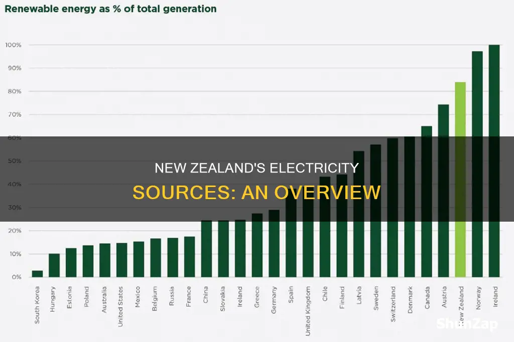 where does new zealand electricity come from