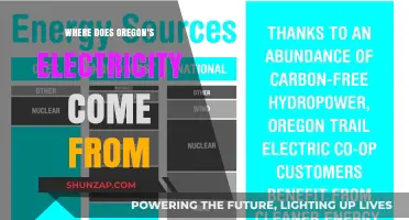 Oregon's Electricity: Sources and Insights