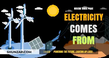 PG&E Electricity: Sources and Sustainability