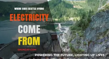 Seattle's Green Energy: Hydro Power Sources