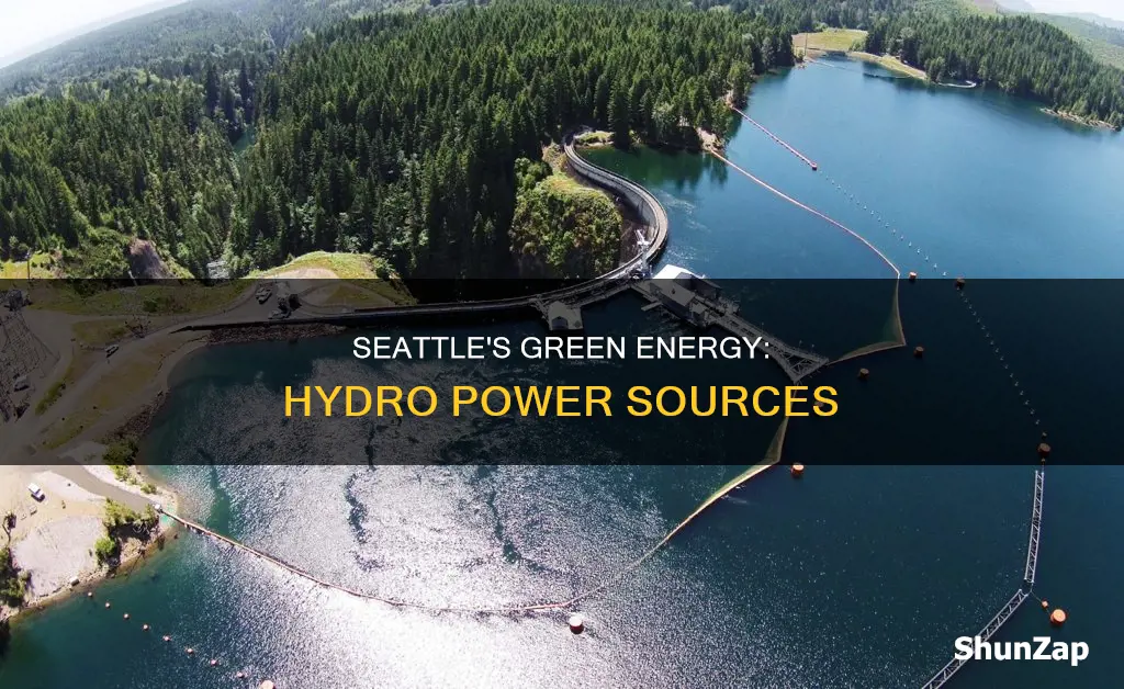 where does seattle hydro electricity come from