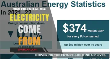 South Australia's Energy Mix: Sources of Electricity