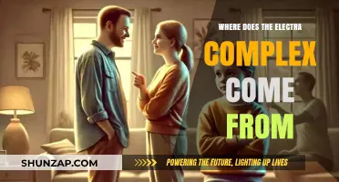 Electra Complex: Understanding Its Roots and Development