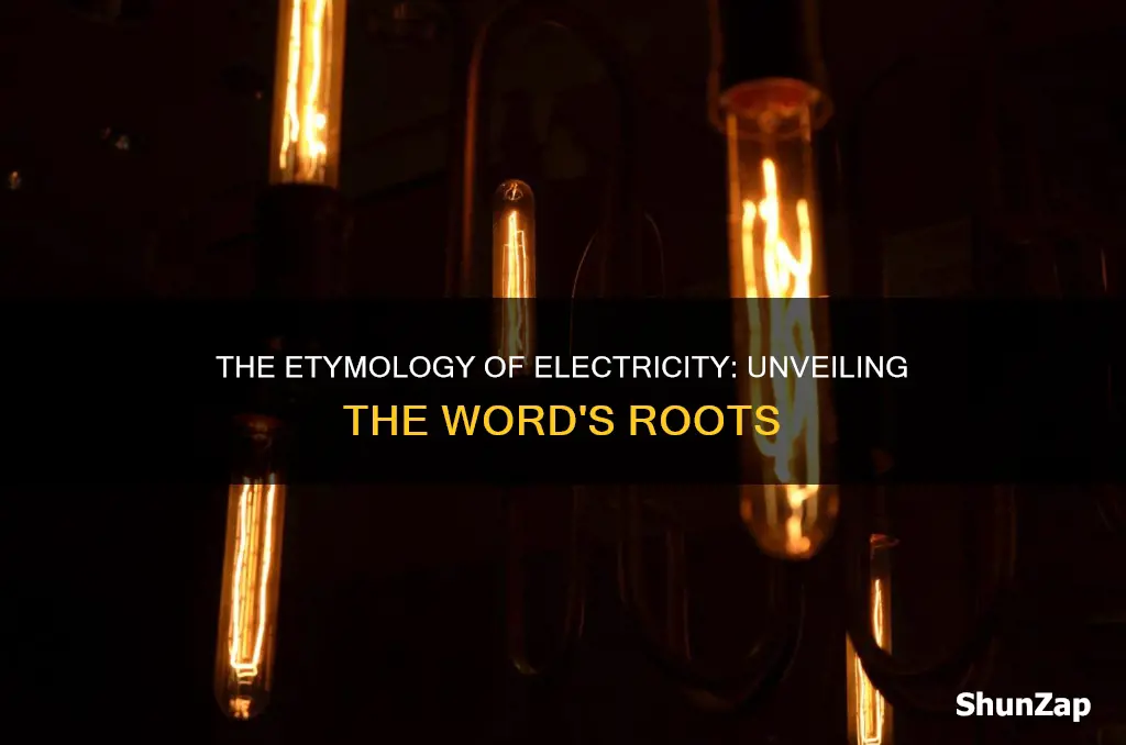 where does the name electricity come from