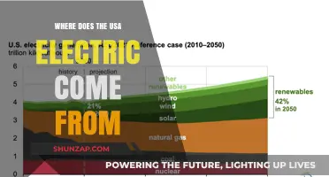 Electric Sources of the USA: Where Does it Come From?