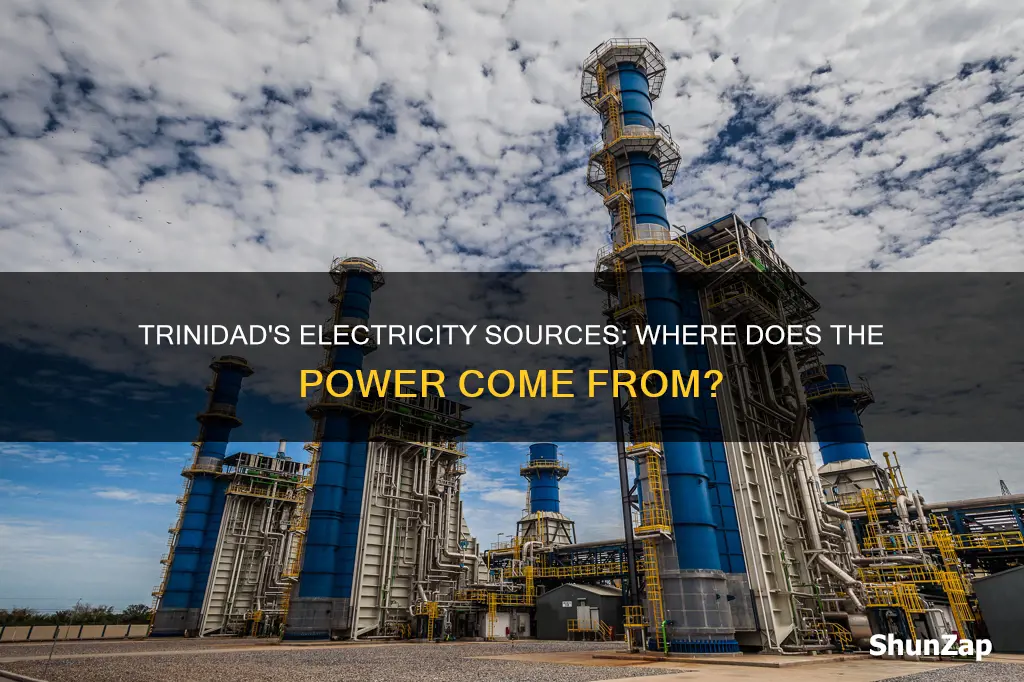 where does trinidad co electricity come from