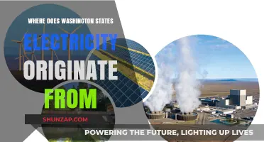 Washington's Power Sources: Unlocking Electricity Origins