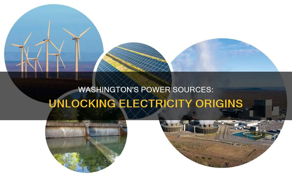 where does washington states electricity originate from