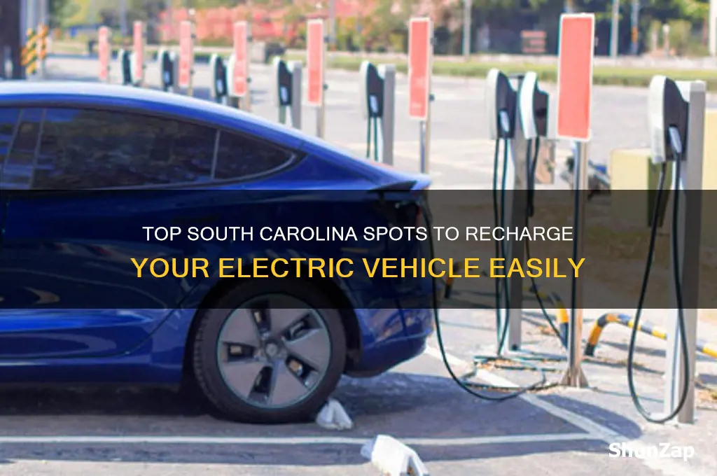 where in south carolina to recharge electric cars