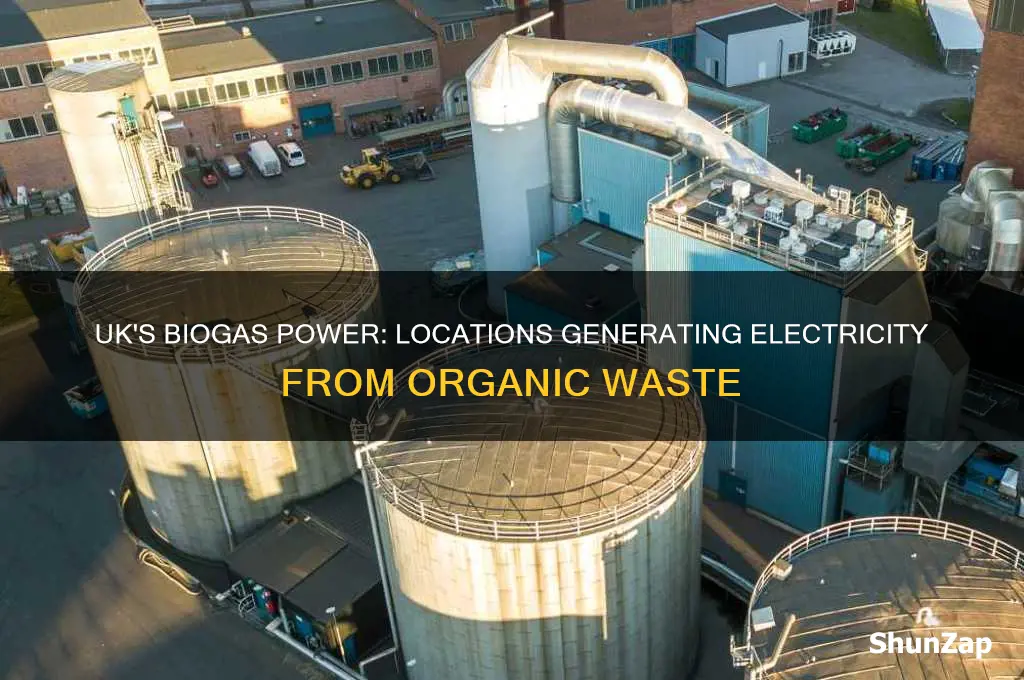where in the uk is biogas used to produce electricity