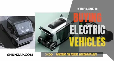 Amazon's Electric Vehicle Shopping Spree: Where Are They Buying?