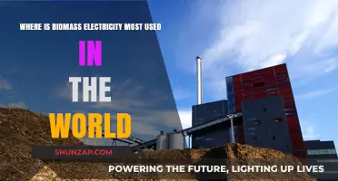 Global Biomass Electricity Usage: Top Countries Leading the Charge