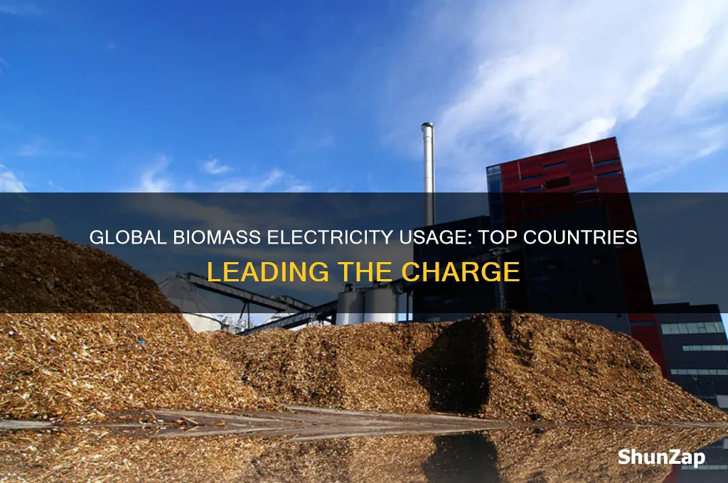 where is biomass electricity most used in the world