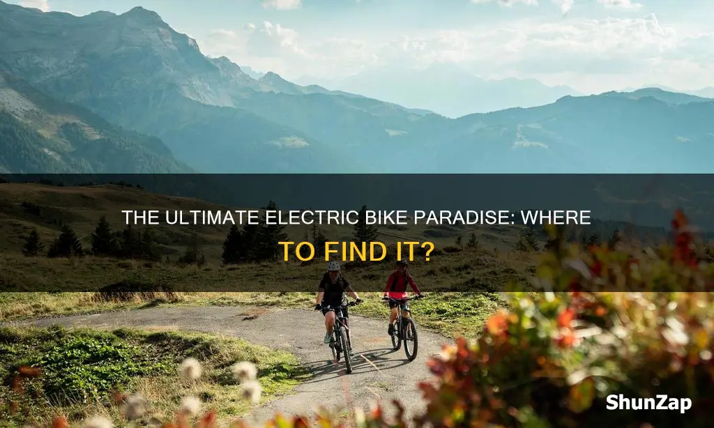 where is electric bike paradise located