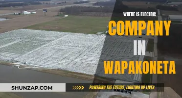 Electric Company's Location: Wapakoneta's Power Source