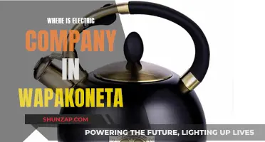 Electric Company in Wapakoneta: Where Is It?