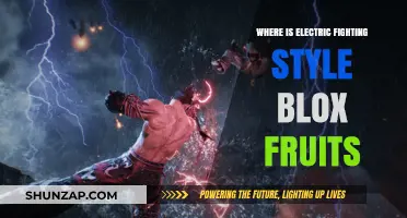 Electric Fighting Style in Blox Fruits: Location Guide