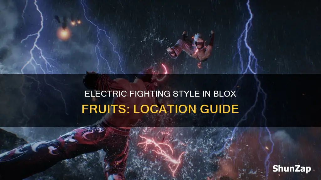 where is electric fighting style blox fruits