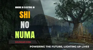 Electric Cherry Location in Shi No Numa