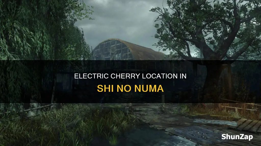 where is electric in shi no numa