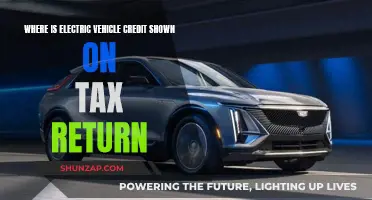 Electric Vehicle Tax Credit: Where to Find It on Returns