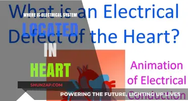 Electrical System: Heart's Control Center