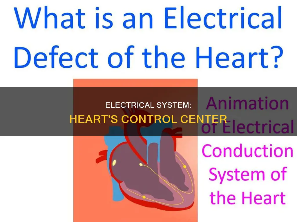 where is electrical system located in heart