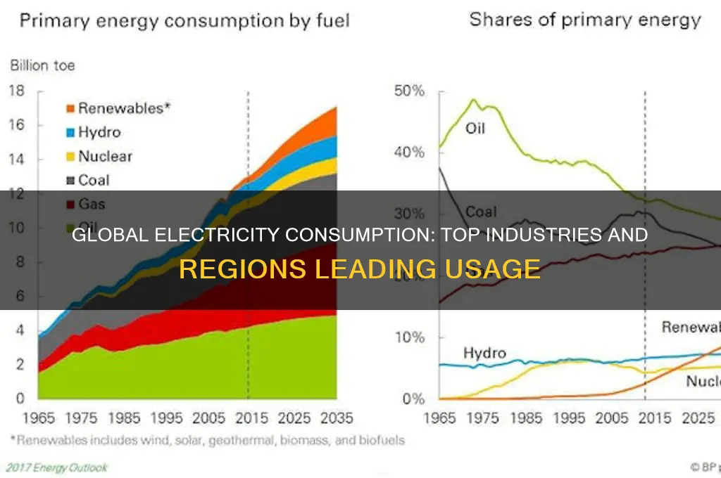 where is electricity being used the most