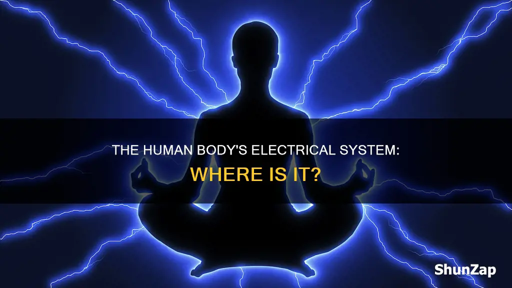 where is electricity in the human body
