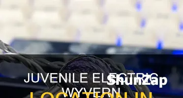 where is juvenile electric wyvern in dragonfall