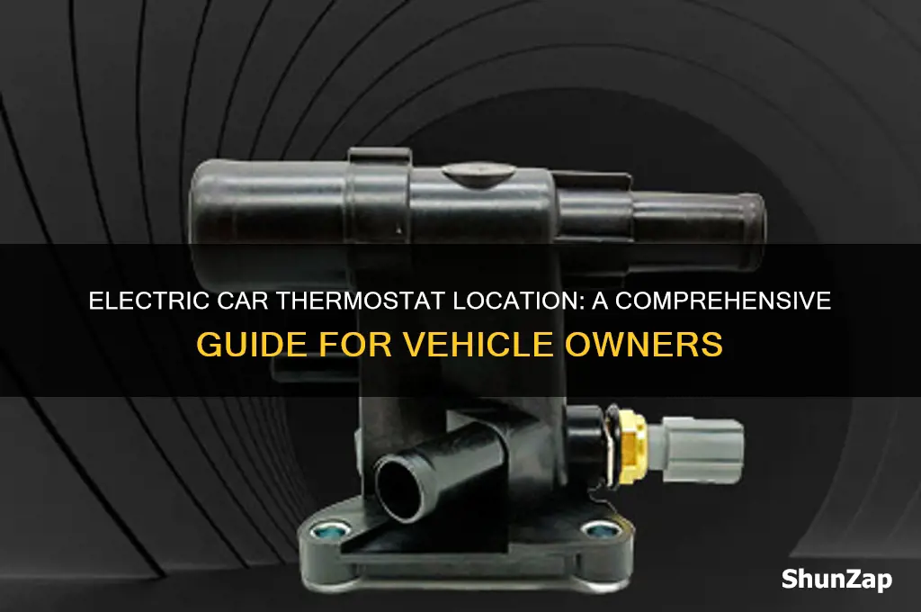 where is located a electric thermostat car