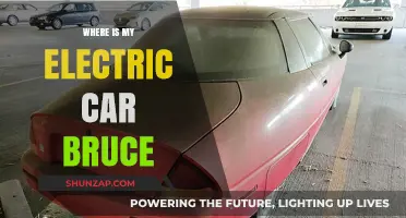 Where's My Electric Car, Bruce? Tracking Down Your Missing EV
