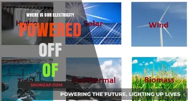 The Power Behind Power: Exploring Electricity Sources