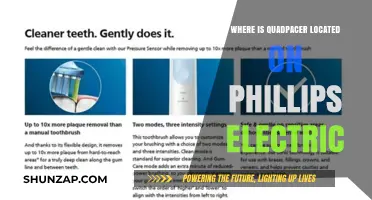 Quadpacer: Philips Electric Toothbrush's Secret Weapon