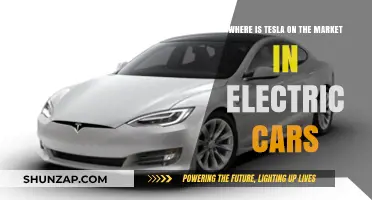 Tesla's Market Position: Leading the Electric Vehicle Revolution Globally