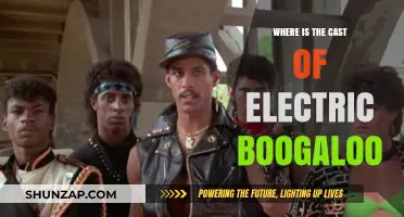 Where Are They Now? Electric Boogaloo Cast