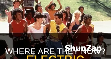 where is the cast of electric boogaloo