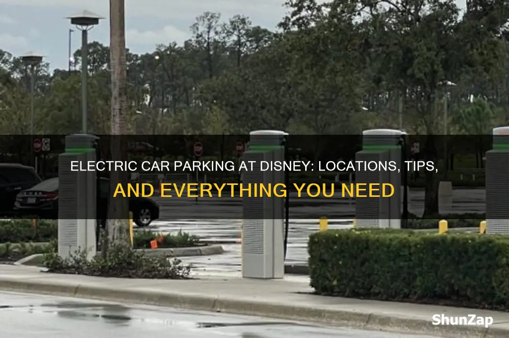 where is the electric car parking at disney