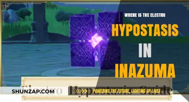 Finding Electro Hypostasis in Inazuma: Location Guide