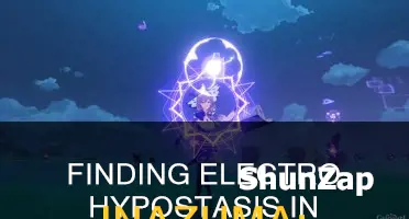 where is the electro hypostasis in inazuma