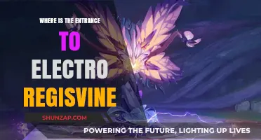 Finding the Electro Regisvine: A Guide to the Entrance