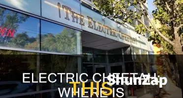 where is the restaurant the electric cheetah