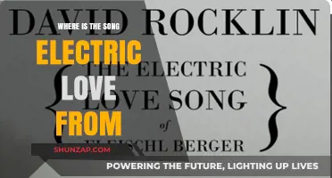 Electric Love Song: Origin and Artist