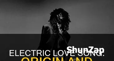 where is the song electric love from
