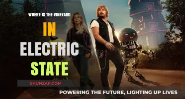 Electric State: Vineyard's Location Mystery
