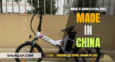 Varun Electric Bikes: Made in China, Pros and Cons