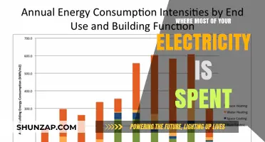 The Energy Drain: Where Your Electricity is Spent