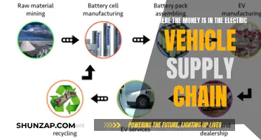 Uncovering the Profitable Segments in the EV Supply Chain